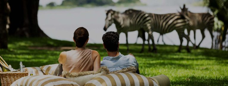 honeymoon-safari
